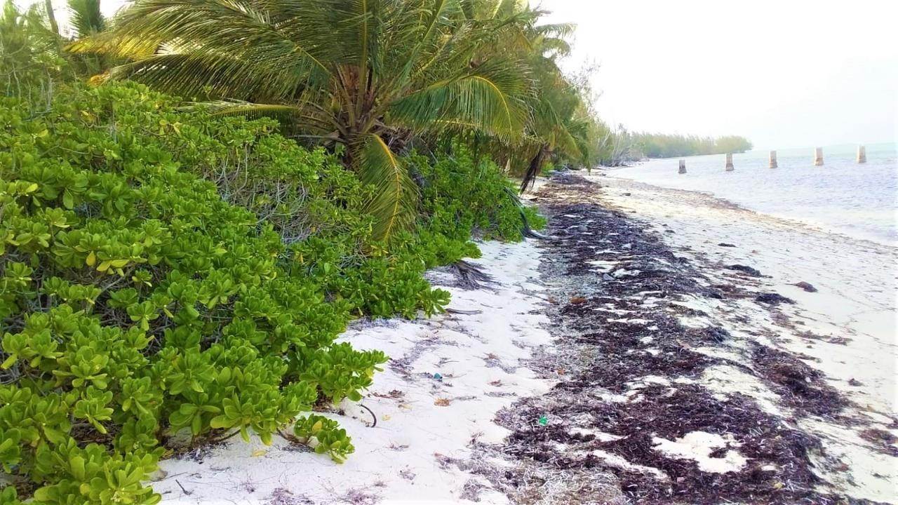 Land for Sale at Mangrove Cay, Andros Bahamas