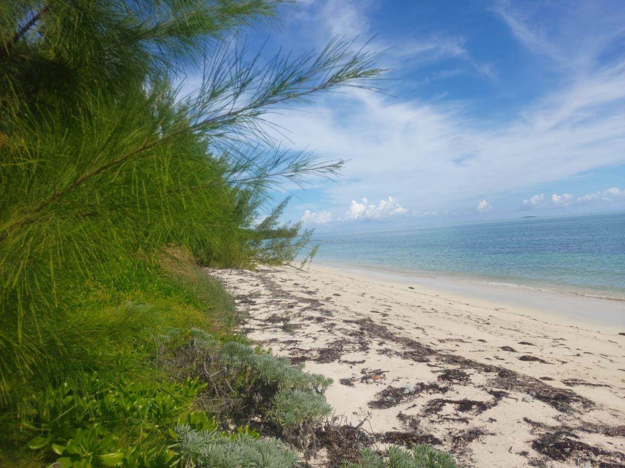Land for Sale at Staniard Creek, Andros Bahamas